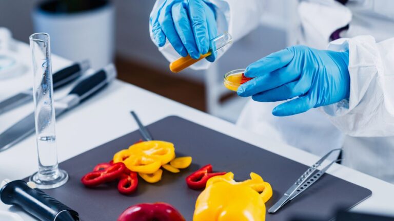 How to Call the Health Department for a Food Safety Violation