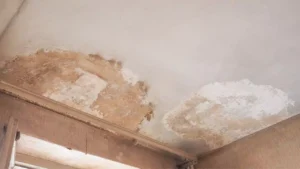 Does House Insurance Cover Dampness