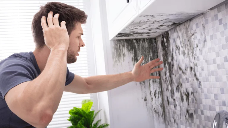 Does House Insurance Cover Mold